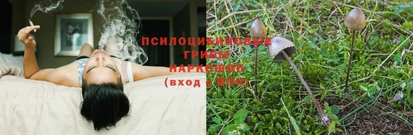 марихуана Зеленокумск